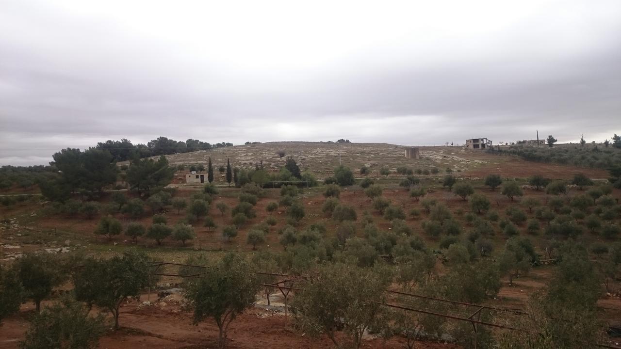 فيلا Town Of Mount Nebo مادابا المظهر الخارجي الصورة