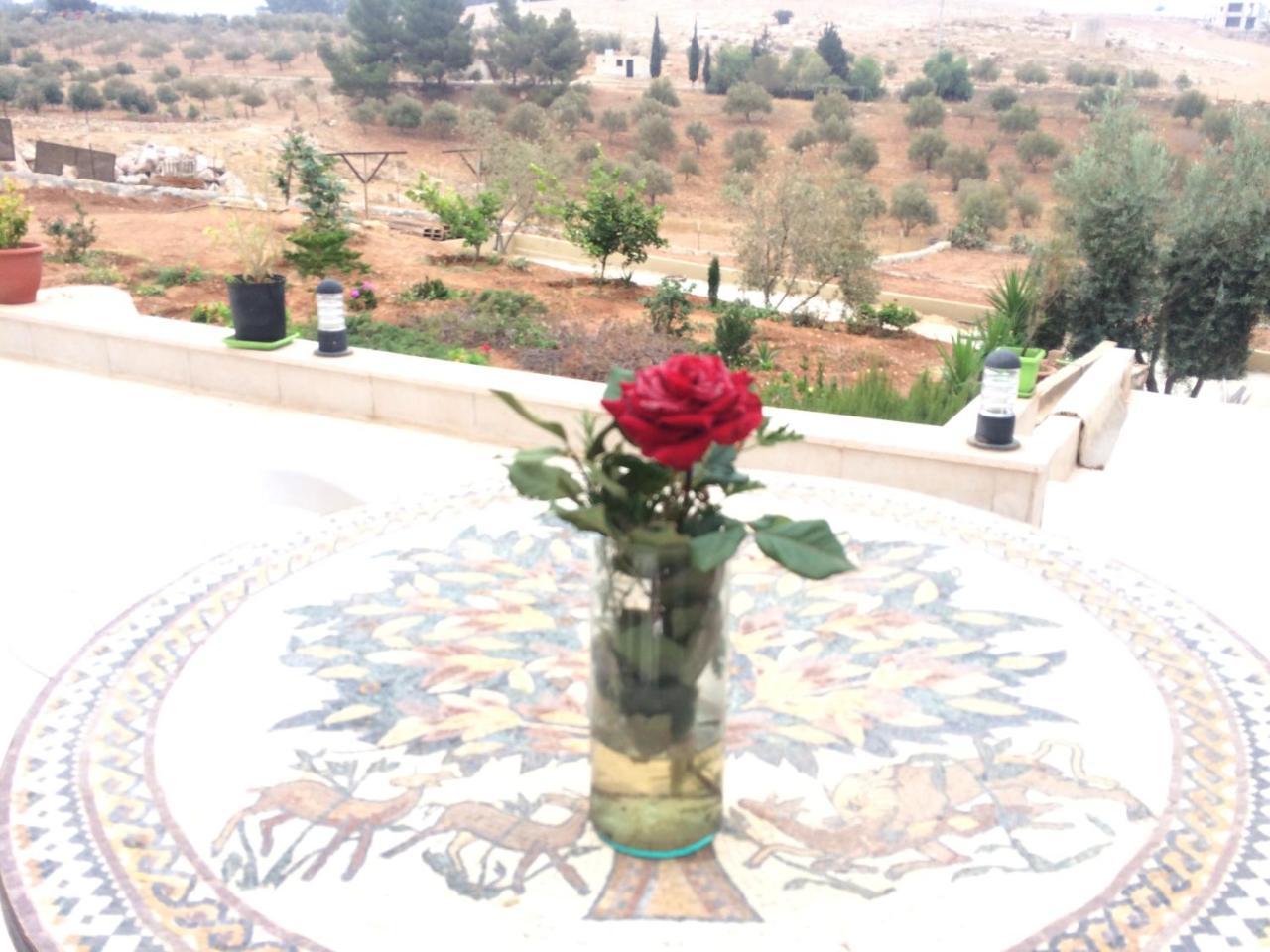 فيلا Town Of Mount Nebo مادابا المظهر الخارجي الصورة